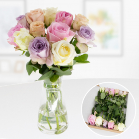 Rosenbox 12 Frische Rosen Pastell-Mix