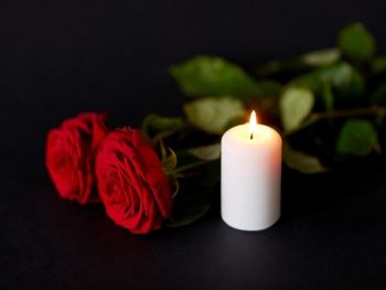 Die Bedeutung der Rose bei Trauer und Beerdigung Die Bedeutung der Rose bei Trauer und Beerdigung