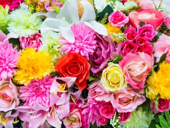 Blumenfarben und ihre Bedeutung Blumenfarben und ihre Bedeutung