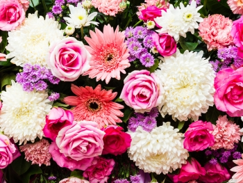 Die Bestandteile einer Blume einfach erklärt Die Bestandteile einer Blume einfach erklärt