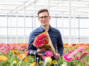 Blumen aus regionalem Anbau Blumen aus regionalem Anbau