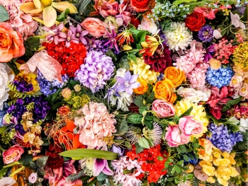 Was deine Geburtsblume über dich verrät Was deine Geburtsblume über dich verrät