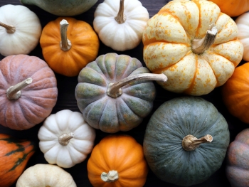 Herbst-Deko für dein Zuhause: Einfache Herbst-Deko basteln Herbst-Deko für dein Zuhause: Einfache Herbst-Deko basteln