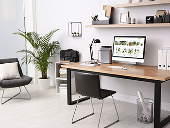 Das sind die 7 besten Pflanzen für dein Home-Office Das sind die 7 besten Pflanzen für dein Home-Office