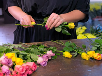 Pflegetipps für Schnittblumen Pflegetipps für Schnittblumen