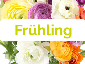 Blumen im Fr&uuml;hling