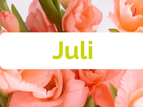 Blumen im Juli