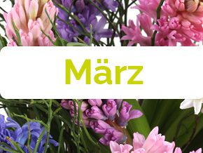Blumen im M&auml;rz