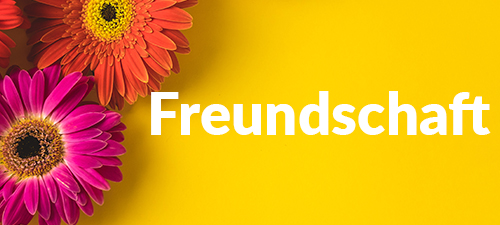 Jetzt Blumen für Freunde versenden Jetzt Blumen für Freunde versenden