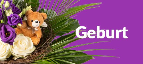 Blumen zur Geburt verschicken Blumen zur Geburt verschicken