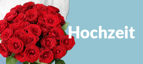 Blumen zum Hochzeitstag verschenken Blumen zum Hochzeitstag verschenken