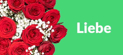 Liebe mit Blumen verschenken Liebe mit Blumen verschenken