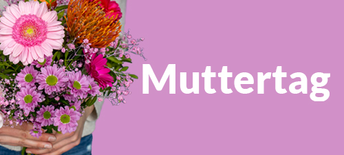 Frische Blumen zum Muttertag verschicken Frische Blumen zum Muttertag verschicken