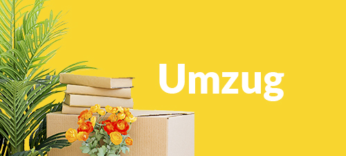 Blumen & Pflanzen zum Einzug Blumen & Pflanzen zum Einzug