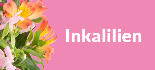 Inkalilien Inkalilien