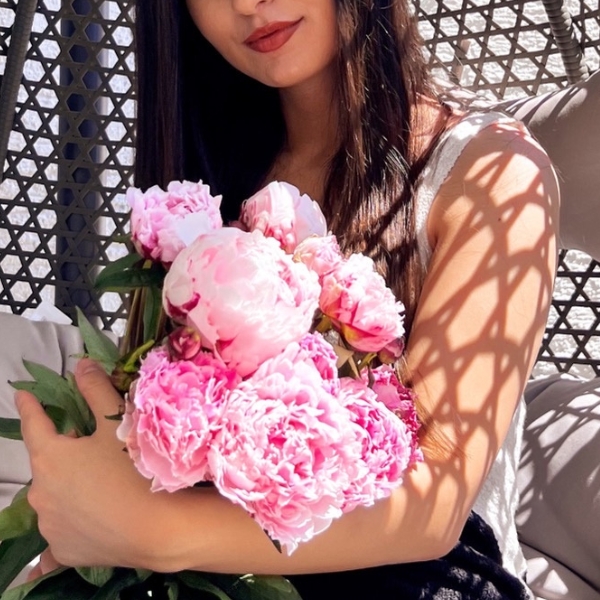 Rosa Pfingstrosen kaufen