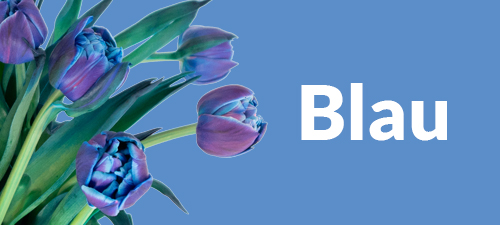 Blauer Blumenstrau&szlig;