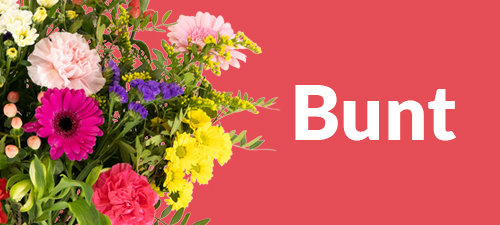 Bunter Blumenstrau&szlig;