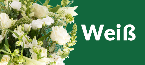 Wei&szlig;er Blumenstrau&szlig;