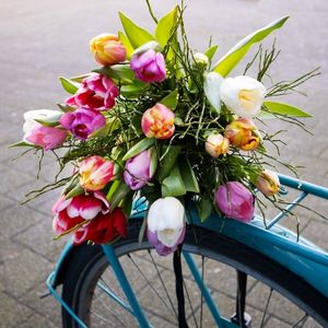 Fr&uuml;hlingsblumenstrau&szlig; bestellen