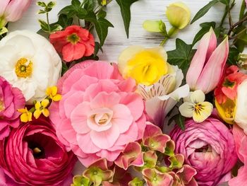 Der Farbtrend 2023 - Pinkmania auch in der Welt der Blumen Der Farbtrend 2023 - Pinkmania auch in der Welt der Blumen