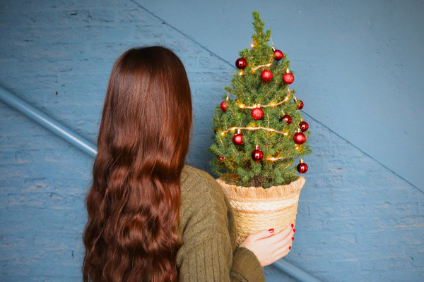 Mini Weihnachtsbaum verschicken