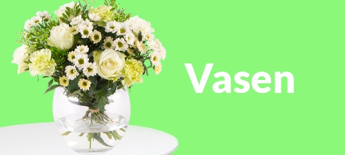 Vasen Vasen